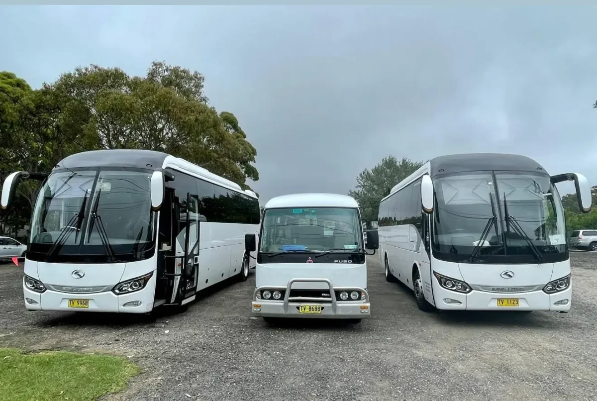 Buses lined up for a school group