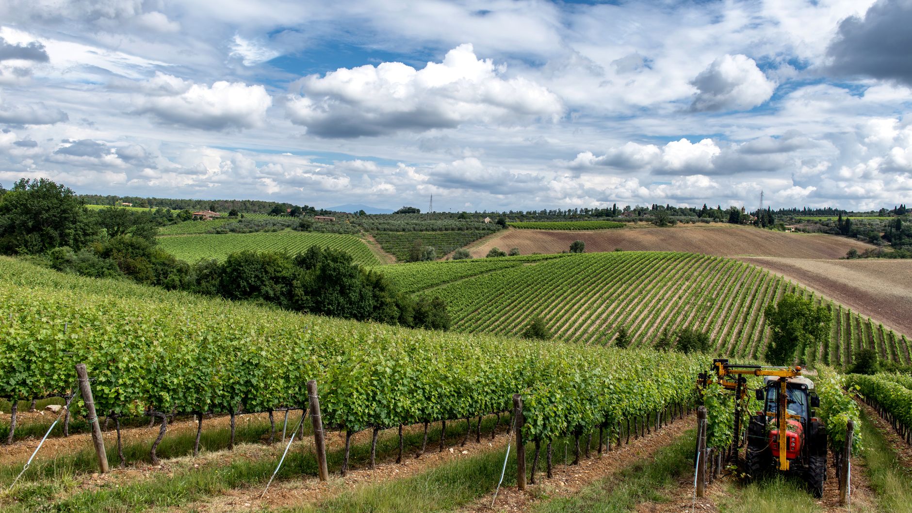 Coach Hire Sydney Wine Country Tours 2026 | Guide